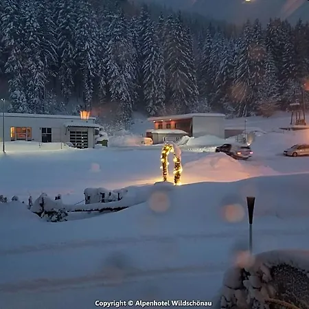 Hotel Flat Near Slopes Wildschoenau